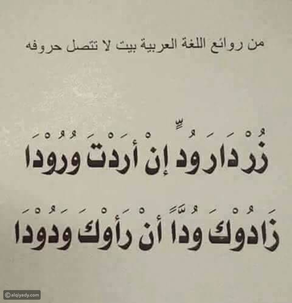 بيت شعر عن اللغة العربية